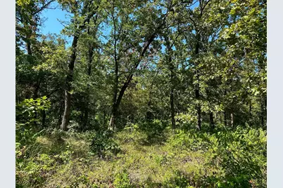 0000 County Road 3641, Sulphur Springs, TX 75482 - Photo 7