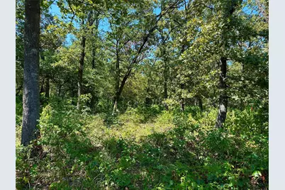 0000 County Road 3641, Sulphur Springs, TX 75482 - Photo 15