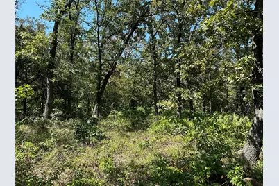 0000 County Road 3641, Sulphur Springs, TX 75482 - Photo 5