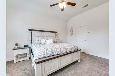 10912 Canyon Mine Drive, Aubrey, TX 76227 - Photo 15