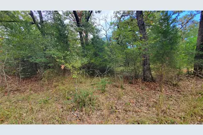 0 Apache Trail, Log Cabin, TX 75148 - Photo 15