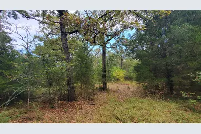 0 Apache Trail, Malakoff, TX 75148 - Photo 7