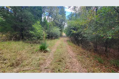 0 Apache Trail, Malakoff, TX 75148 - Photo 5
