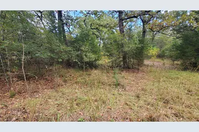 0 Apache Trail, Log Cabin, TX 75148 - Photo 9