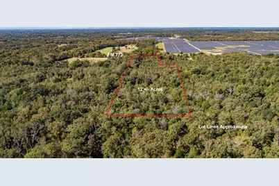 10081 Fm 773, Ben Wheeler, TX 75754 - Photo 11