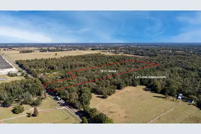 10081 Fm 773, Ben Wheeler, TX 75754 - Photo 5