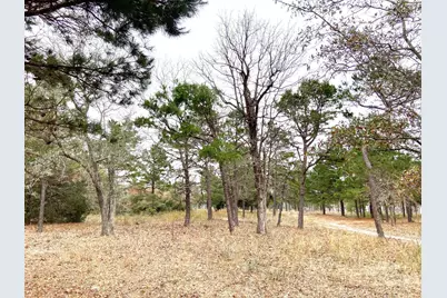 3729 Pinewood Way, LaRue, TX 75770 - Photo 13