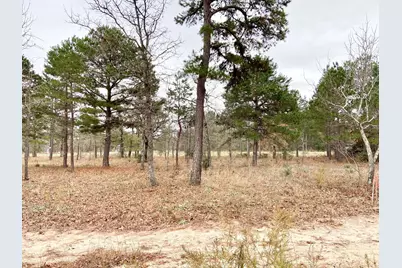 3729 Pinewood Way, LaRue, TX 75770 - Photo 11