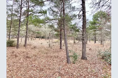 3729 Pinewood Way, LaRue, TX 75770 - Photo 5