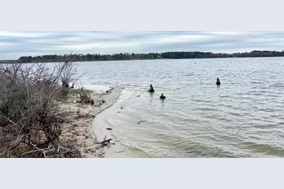 3729 Pinewood Way, LaRue, TX 75770 - Photo 21