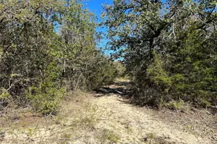 1695 Co Rd 295, Hico, TX 76457 - Photo 23