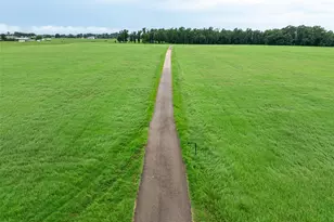 7111 Fm 2339, Murchison, TX 75778 - Photo 19