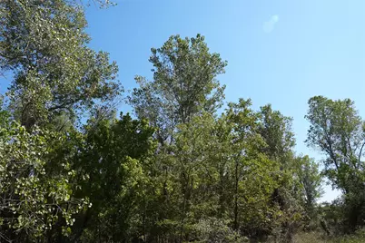 Tbd County Road 4667, Rhome, TX 76078 - Photo 31