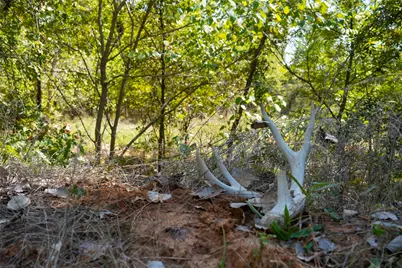 Tbd County Road 4667, Rhome, TX 76078 - Photo 33