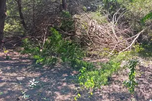 Twb County 3114 Road NW, Purdon, TX 76679 - Photo 1