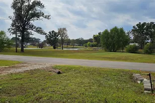 434 Geronimo, Quitman, TX 75783 - Photo 29