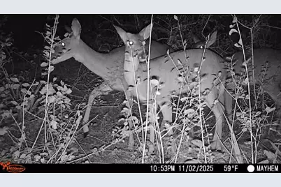 7553 Hutcheson Hill Road, Springtown, TX 76082 - Photo 29