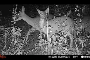 7553 Hutcheson Hill Rd, Springtown, TX 76082 - Photo 29