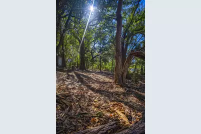 3500 Hog Bend #88, Graford, TX 76449 - Photo 17