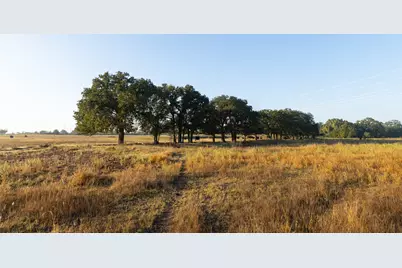 Tbd Brushy Road #Tract 2, Granbury, TX 76048 - Photo 9