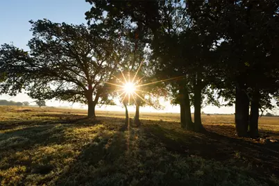 Tbd Brushy Road #Tract 3, Granbury, TX 76048 - Photo 15