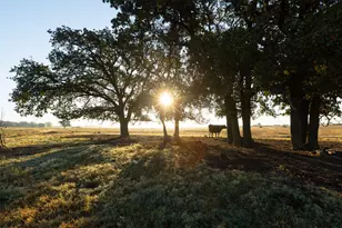 Tbd Brushy Rd, Granbury, TX 76048 - Photo 1