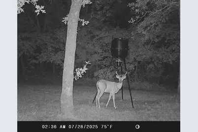 1793 Greer, Sadler, TX 76264 - Photo 35