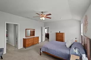 729 Emmons Crk St, Justin, TX 76247 - Photo 17