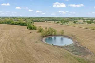 445 Cr 24200, Roxton, TX 75477 - Photo 13