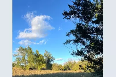 Tbd Cr-616, Farmersville, TX 75442 - Photo 7