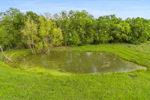 161 Pullen Rd, McLendon Chisholm, TX 75032 - Photo 27