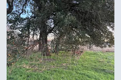 6940 Fm 1189, Dennis, TX 76439 - Photo 9