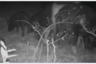 345 Cr 3346, Hubbard, TX 76648 - Photo 15