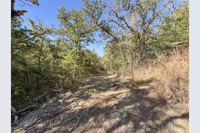 2301 Moseley Road, Cross Roads, TX 76227 - Photo 13