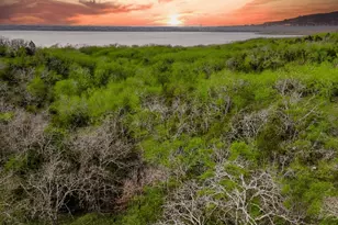 2301 Moseley Rd, Savannah, TX 76227 - Photo 1