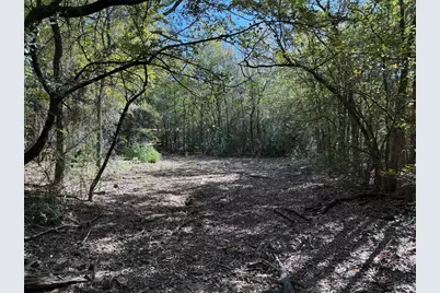 2301 Moseley Road, Cross Roads, TX 76227 - Photo 11