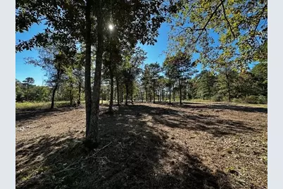 Legacy Shores Lot 21 3142 Shadow Pine Drive, LaRue, TX 75770 - Photo 5