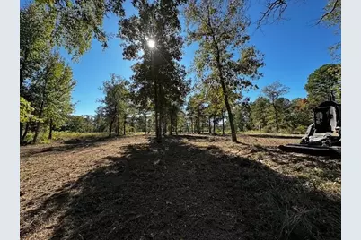 Legacy Shores Lot 21 3142 Shadow Pine Drive, LaRue, TX 75770 - Photo 3