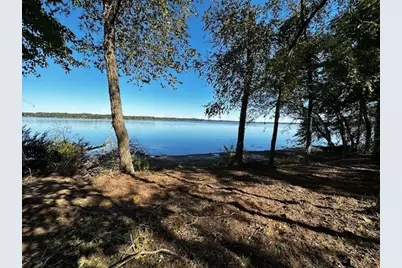 Legacy Shores Lot 21 3142 Shadow Pine Drive, LaRue, TX 75770 - Photo 1
