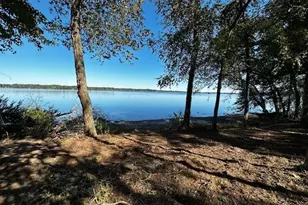 Legacy Shores Lot 21 3142 Shadow Pine Dr, LaRue, TX 75770 - Photo 1