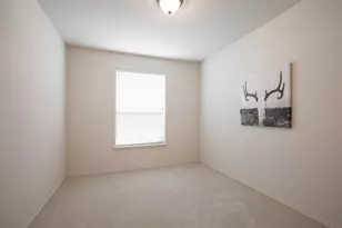 9305 Amber Downs Dr, McKinney, TX 75072 - Photo 17