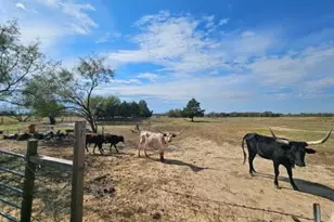 13913 FM 90, Mabank, TX 75147 - Photo 23