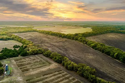 Tbd 54.757 Ac County Road 4642, Trenton, TX 75490 - Photo 5