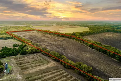 Tbd 54.757 Ac County Road 4642, Trenton, TX 75490 - Photo 3