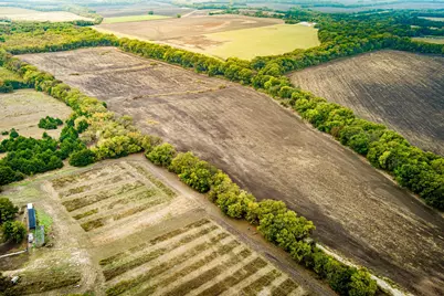 Tbd 54.757 Ac County Road 4642, Trenton, TX 75490 - Photo 11
