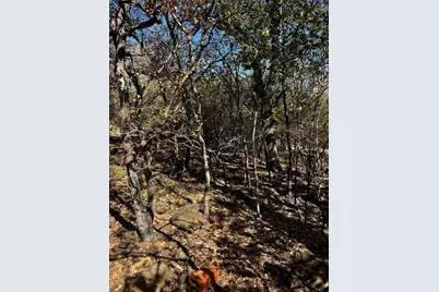 Tbd NW 9th Street, Mineral Wells, TX 76067 - Photo 3