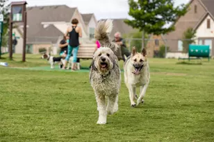 18 Greenleaf Dr, Trophy Club, TX 76262 - Photo 21