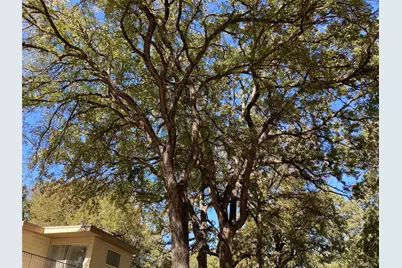 11655 Randle Lane, Fort Worth, TX 76179 - Photo 7