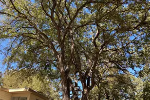 11655 Randle Ln, Fort Worth, TX 76179 - Photo 7