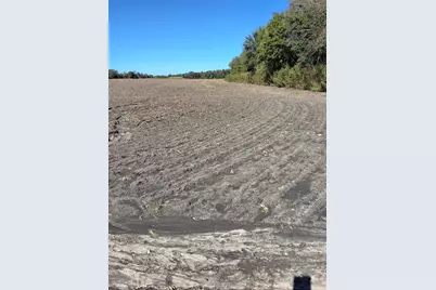 T B D Hcr 3124 (Main St), Bynum, TX 76631 - Photo 3